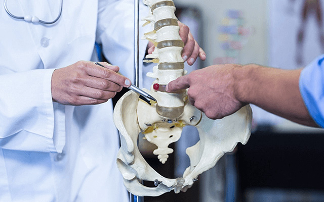 A healthcare professional explaining spinal anatomy, using a model to demonstrate the location of the vertebral bones