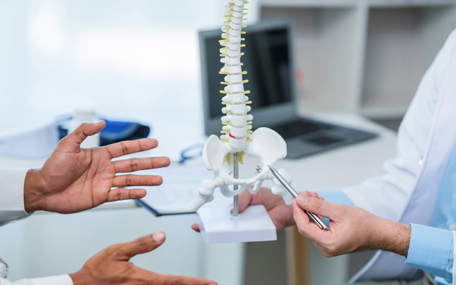 Doctor explaining spine structure using model during consultation